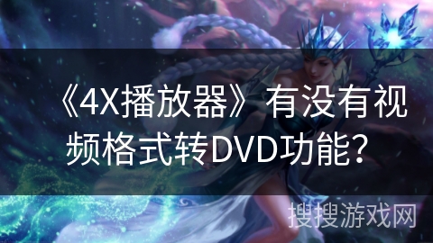 《4X播放器》有没有视频格式转DVD功能？