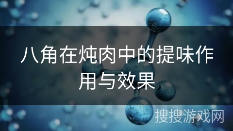 八角在炖肉中的提味作用与效果
