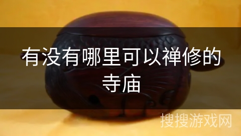 有没有哪里可以禅修的寺庙