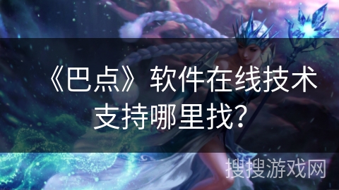 《巴点》软件在线技术支持哪里找？