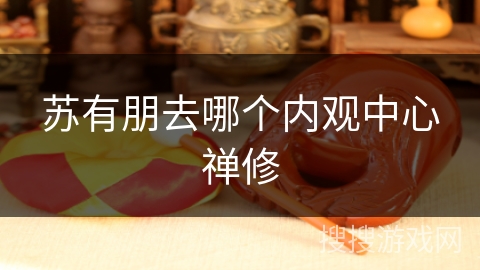 苏有朋去哪个内观中心禅修