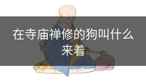 在寺庙禅修的狗叫什么来着
