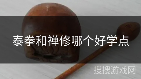 泰拳和禅修哪个好学点