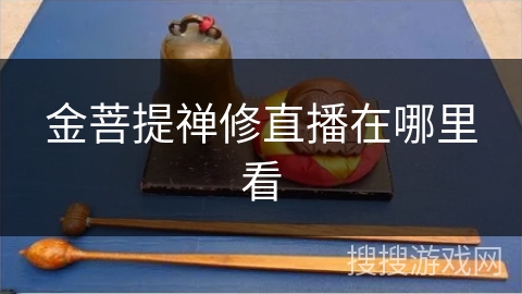 金菩提禅修直播在哪里看