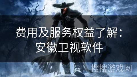 费用及服务权益了解：安徽卫视软件