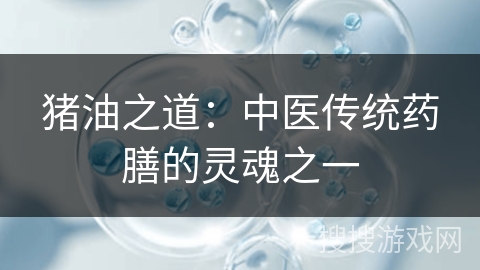 猪油之道：中医传统药膳的灵魂之一