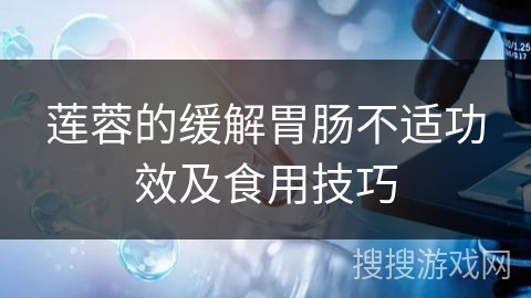 莲蓉的缓解胃肠不适功效及食用技巧