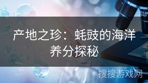 产地之珍：蚝豉的海洋养分探秘