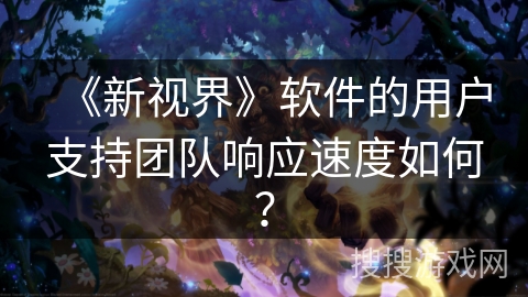 《新视界》软件的用户支持团队响应速度如何？