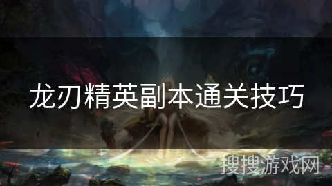 龙刃精英副本通关技巧
