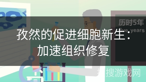 孜然的促进细胞新生：加速组织修复