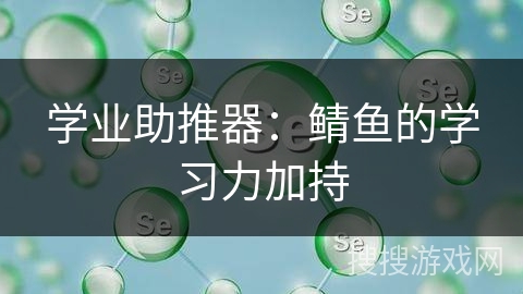 学业助推器：鲭鱼的学习力加持