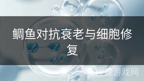 鲷鱼对抗衰老与细胞修复