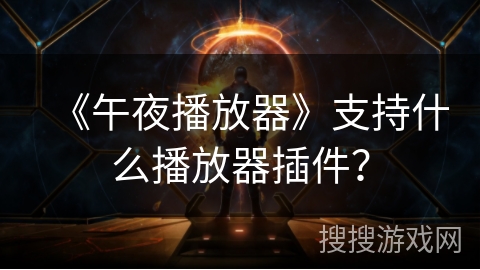 《午夜播放器》支持什么播放器插件？