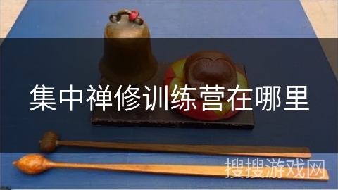 集中禅修训练营在哪里