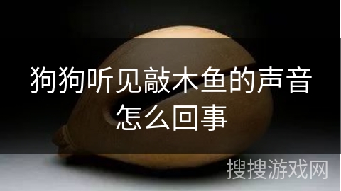 狗狗听见敲木鱼的声音怎么回事 狗狗听见敲木鱼的声音怎么回事