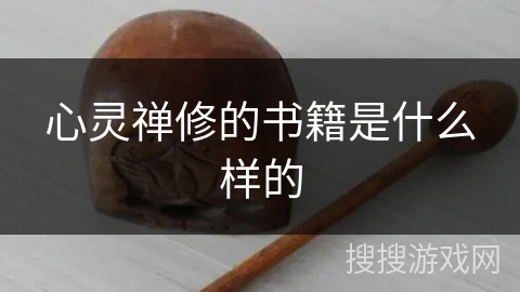 心灵禅修的书籍是什么样的