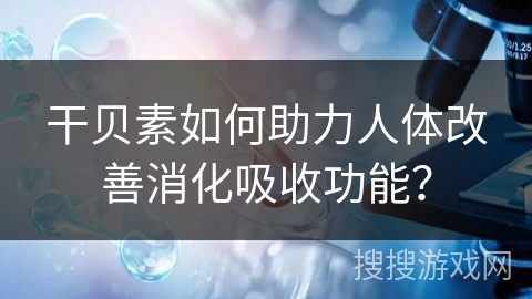 干贝素如何助力人体改善消化吸收功能？