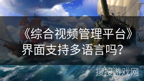 《综合视频管理平台》界面支持多语言吗? 《综合视频管理平台》界面支持多语言吗?