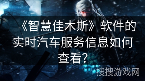 《智慧佳木斯》软件的实时汽车服务信息如何查看？