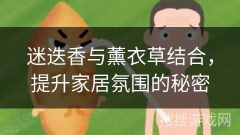 迷迭香与薰衣草结合，提升家居氛围的秘密