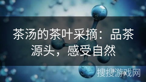 茶汤的茶叶采摘：品茶源头，感受自然