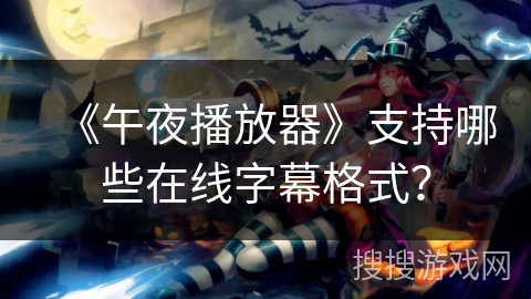 《午夜播放器》支持哪些在线字幕格式？