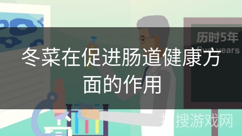 冬菜在促进肠道健康方面的作用