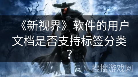 《新视界》软件的用户文档是否支持标签分类？