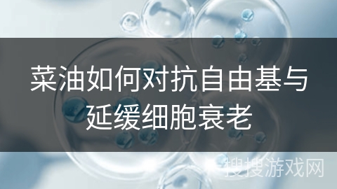 菜油如何对抗自由基与延缓细胞衰老