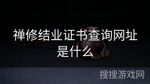 禅修结业证书查询网址是什么