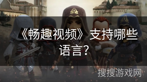 《畅趣视频》支持哪些语言？