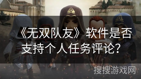 《无双队友》软件是否支持个人任务评论？