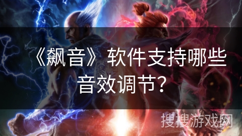 《飙音》软件支持哪些音效调节？