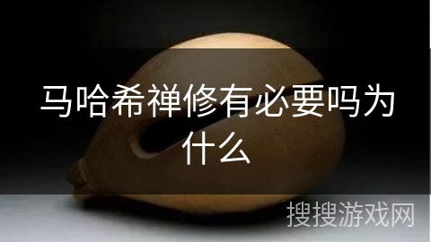 马哈希禅修有必要吗为什么