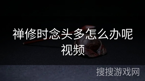 禅修时念头多怎么办呢视频