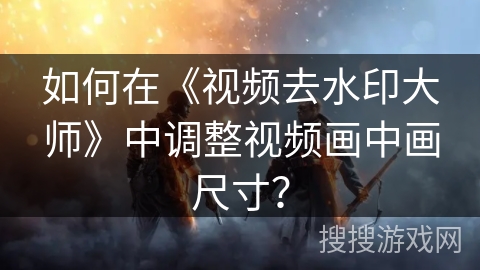 如何在《视频去水印大师》中调整视频画中画尺寸？