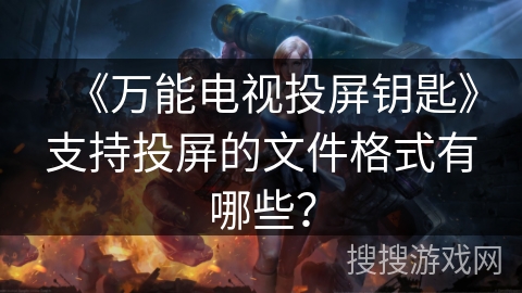 《万能电视投屏钥匙》支持投屏的文件格式有哪些？
