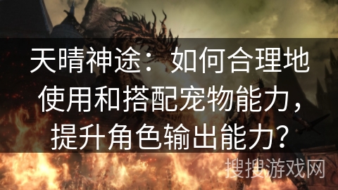 天晴神途:如何合理地使用和搭配宠物能力,提升角色输出能力? 天晴神途:如何合理地使用和搭配宠物能力,提升角色输出能力?