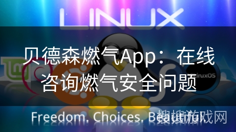 贝德森燃气App：在线咨询燃气安全问题