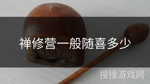 禅修营一般随喜多少