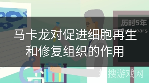 马卡龙对促进细胞再生和修复组织的作用