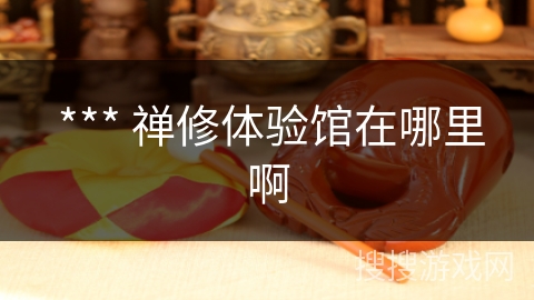  *** 禅修体验馆在哪里啊