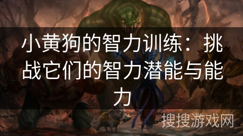 小黄狗的智力训练：挑战它们的智力潜能与能力