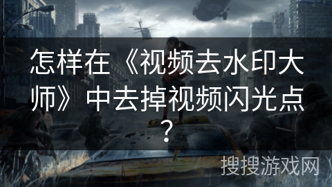 怎样在《视频去水印大师》中去掉视频闪光点？