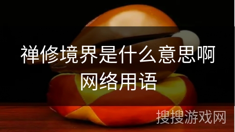 禅修境界是什么意思啊网络用语