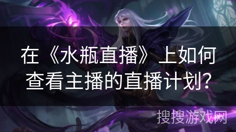 在《水瓶直播》上如何查看主播的直播计划？