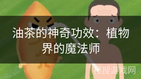 油茶的神奇功效：植物界的魔法师