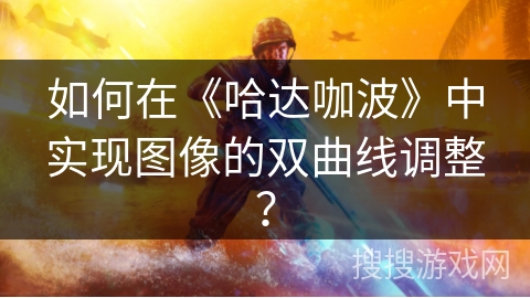 如何在《哈达咖波》中实现图像的双曲线调整？
