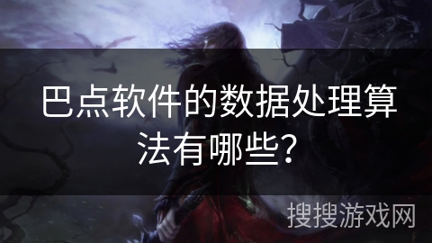 巴点软件的数据处理算法有哪些？